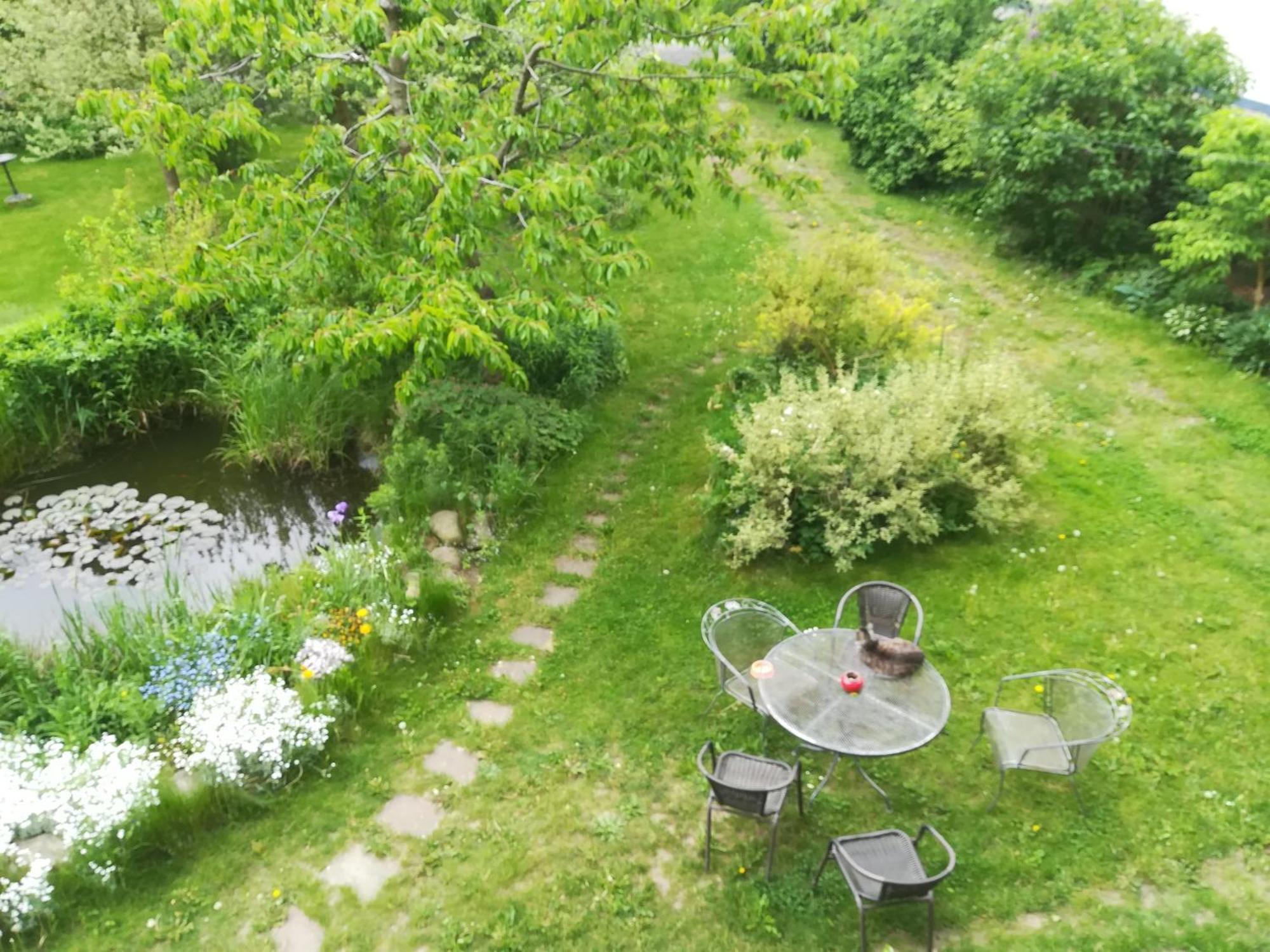 Ferien In Der Scheune Dettmannsdorf エクステリア 写真