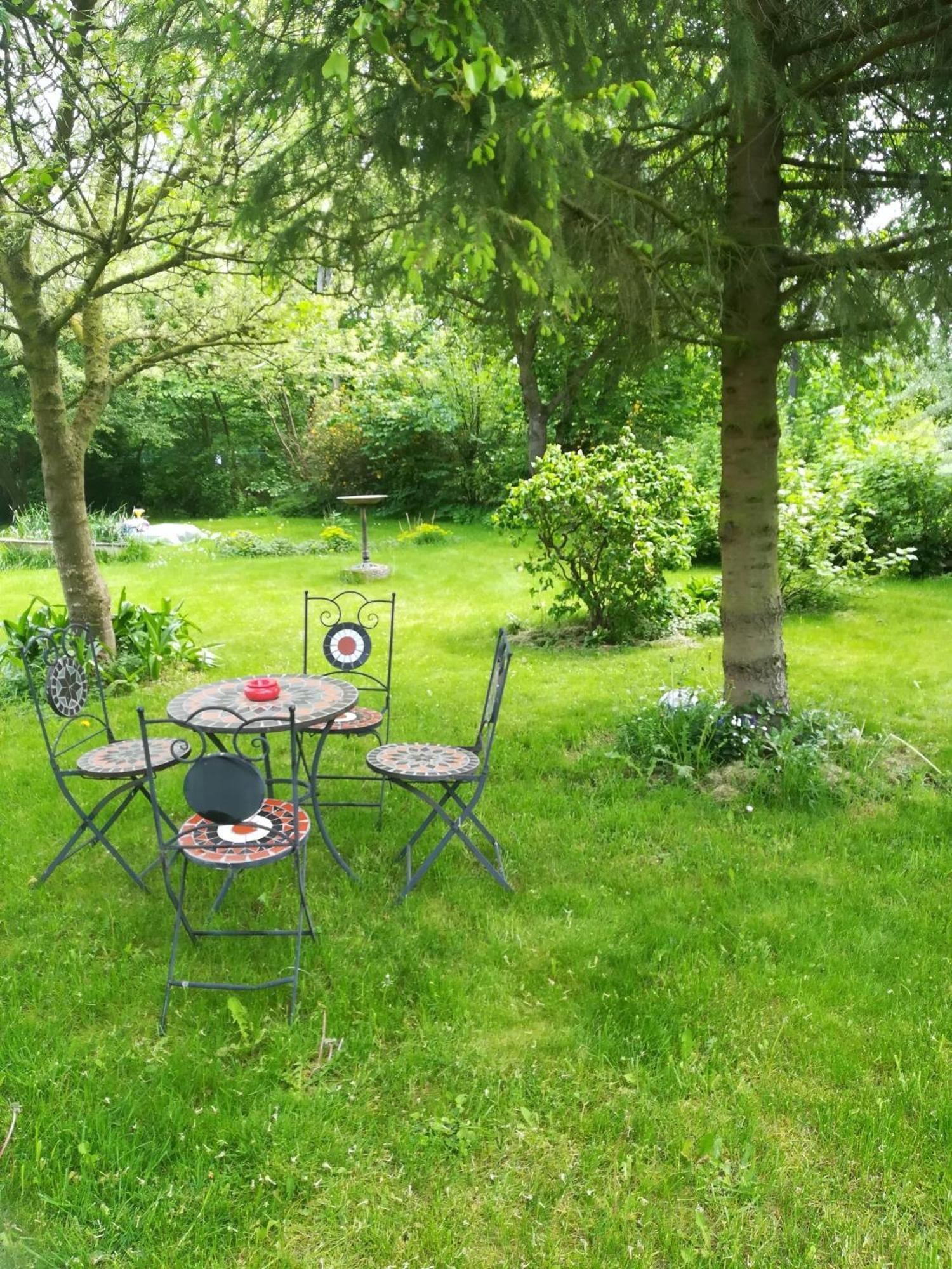 Ferien In Der Scheune Dettmannsdorf エクステリア 写真