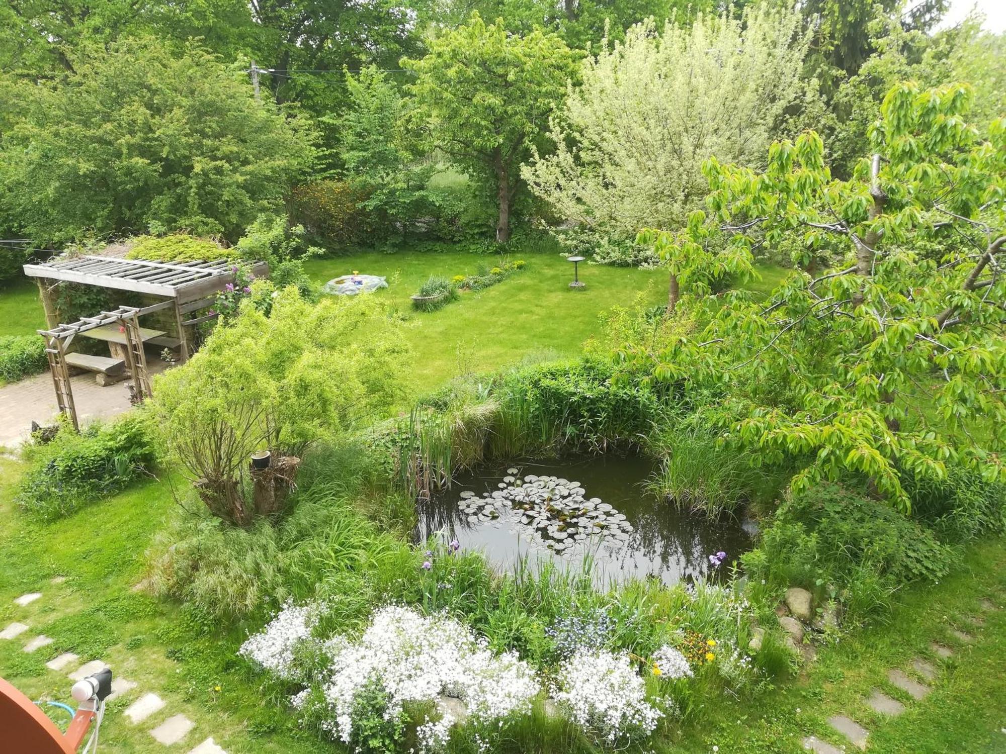 Ferien In Der Scheune Dettmannsdorf エクステリア 写真