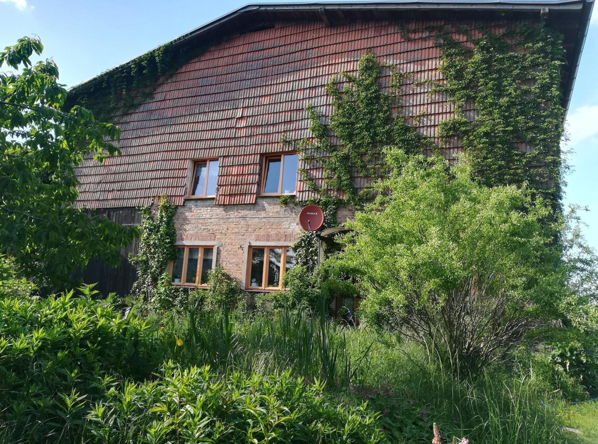 Ferien In Der Scheune Dettmannsdorf エクステリア 写真