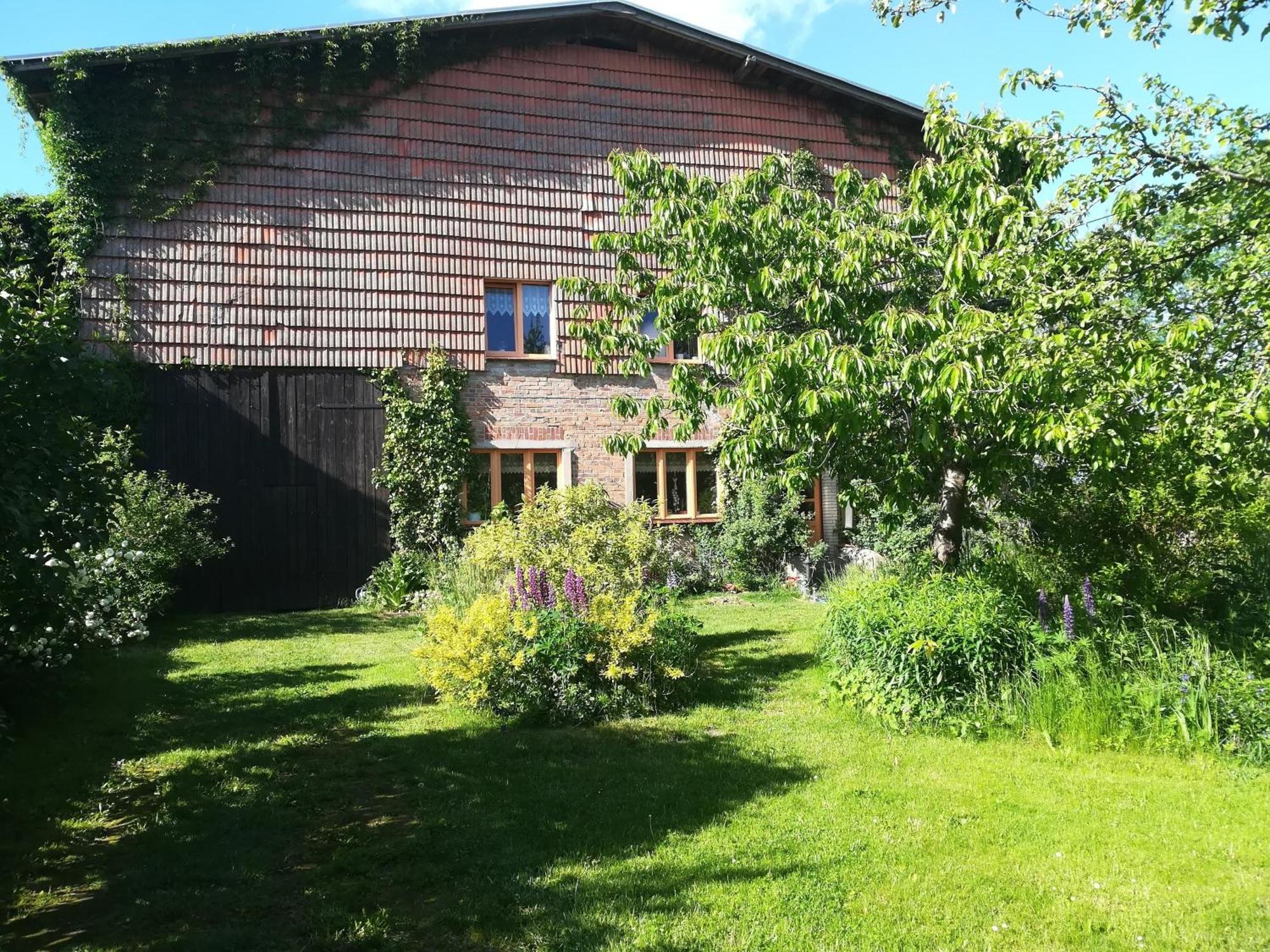 Ferien In Der Scheune Dettmannsdorf エクステリア 写真